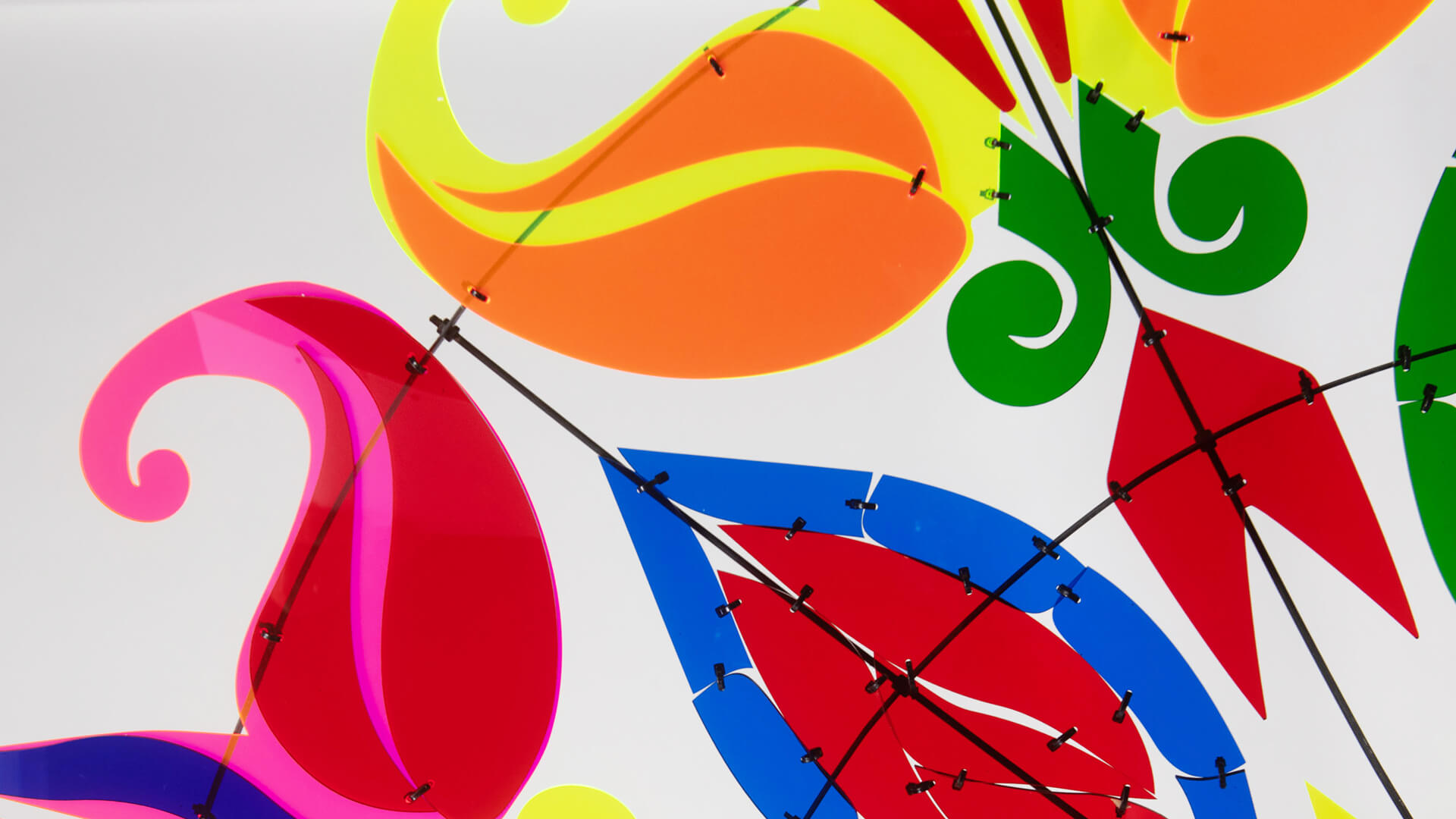 Collide-o-Scope, Vicky Robertson, New Zealand