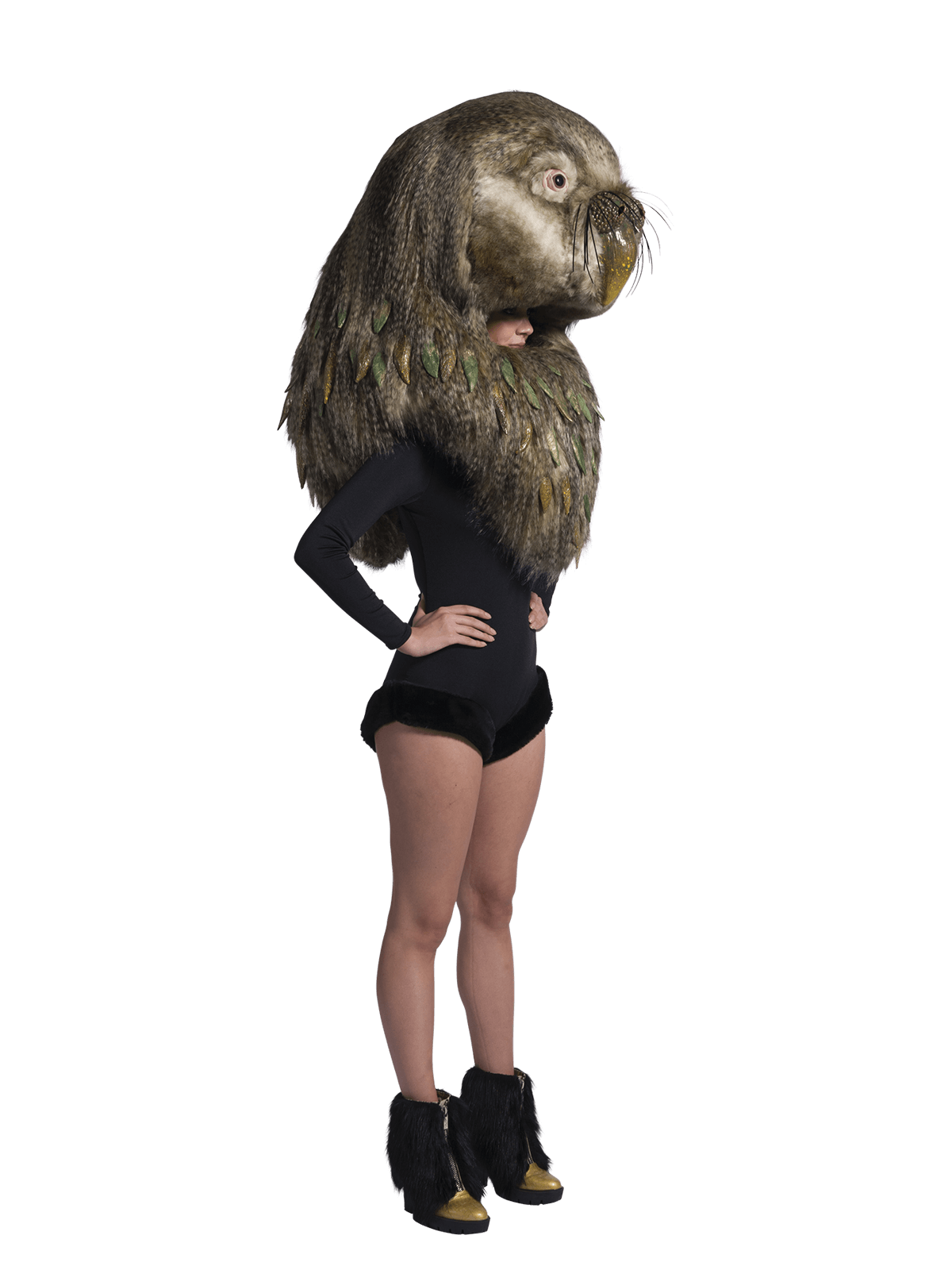 Kākāpō Queen, Stephanie Cossens, New Zealand