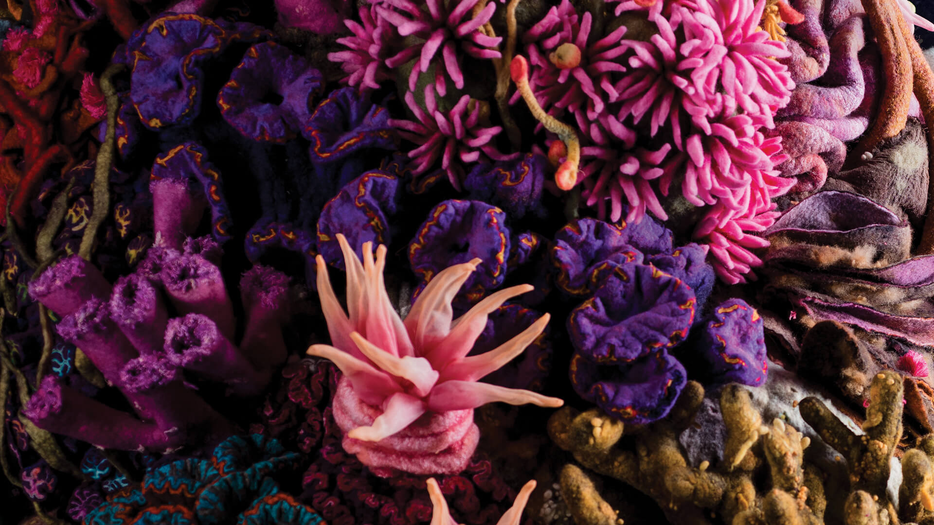 Human Nature, Saar Snoek, Netherlands