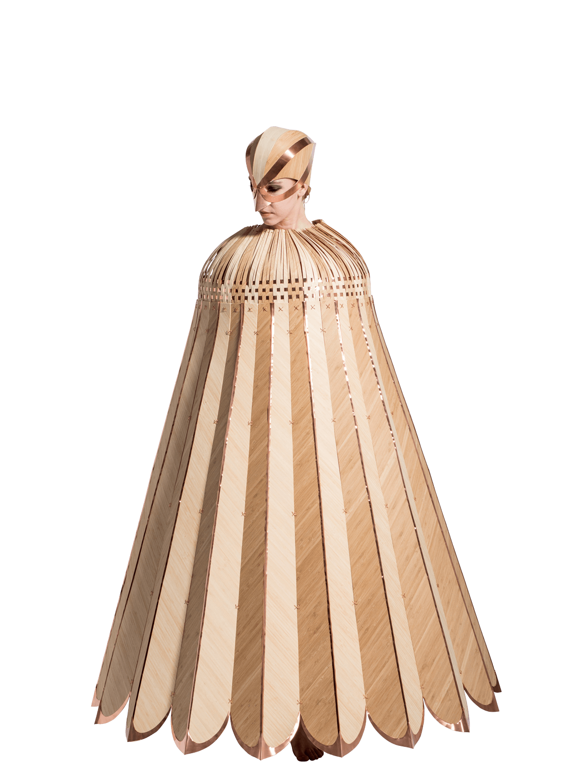 The Cloak of Pīwakawaka, Lisa Vanin, New Zealand