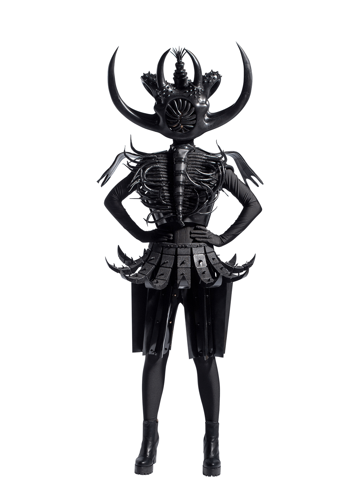 Cambrian Regeneration, Xu Ran, China