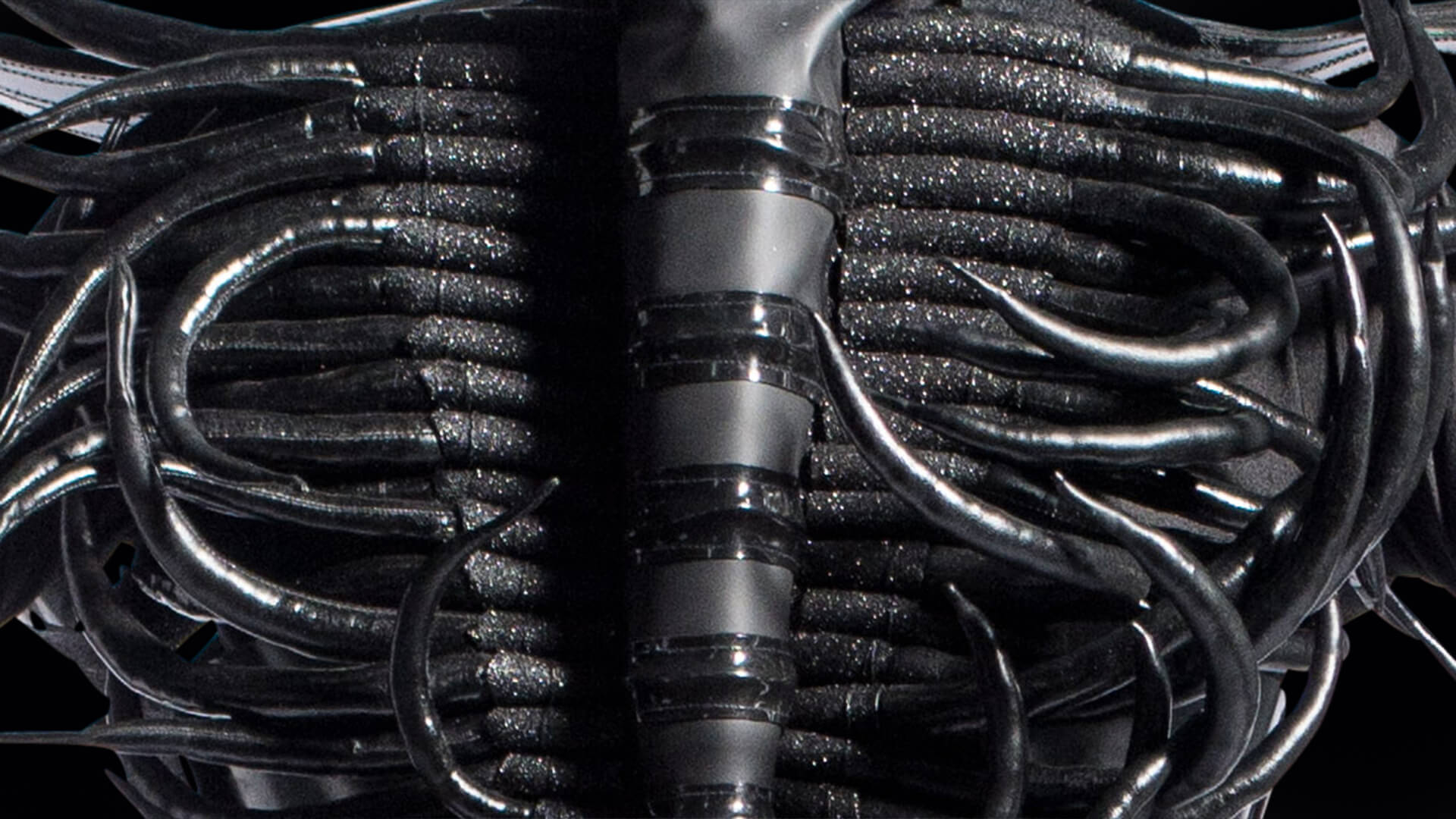 Cambrian Regeneration, Xu Ran, China