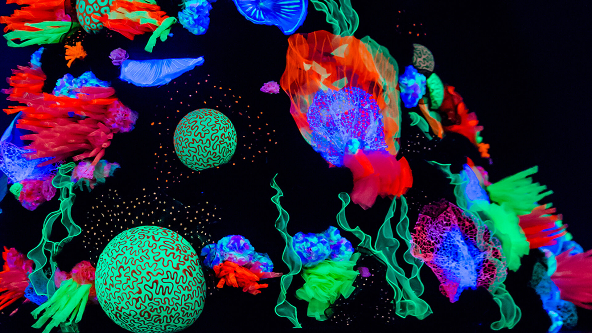 Tears of the Nudibranch, Sarah Seahorse & Luna Aquatica, Australia