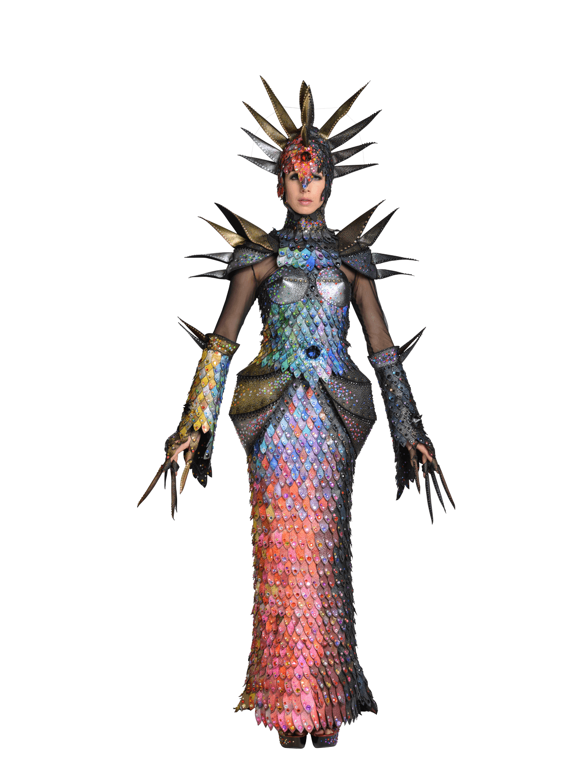 Supernova, Gill Saunders, New Zealand