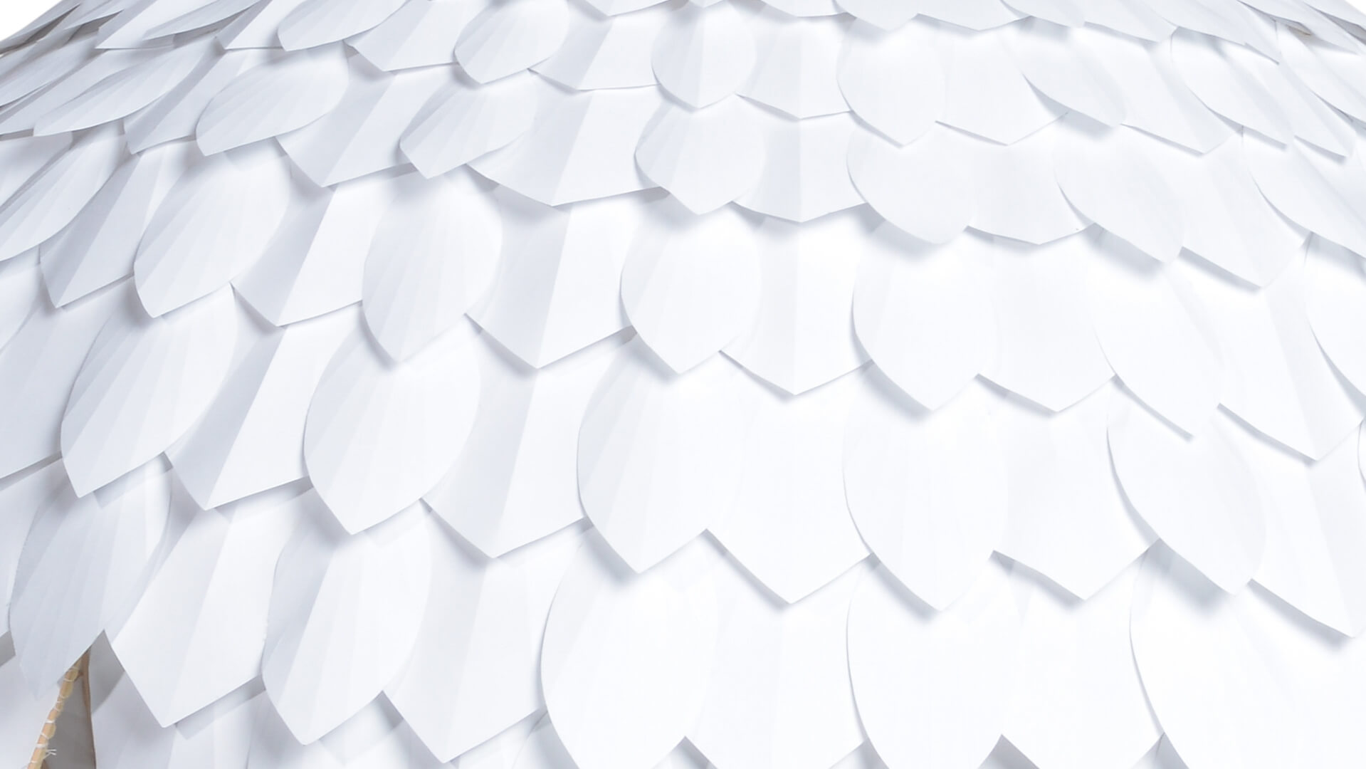 Ester, Ashleigh-Jean King & Flavia Rose, New Zealand