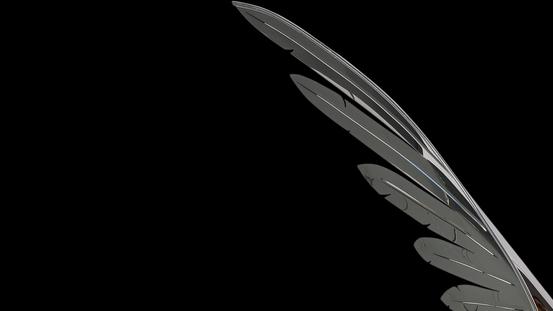 Come Fly with Me, Julian Hartzog, United States