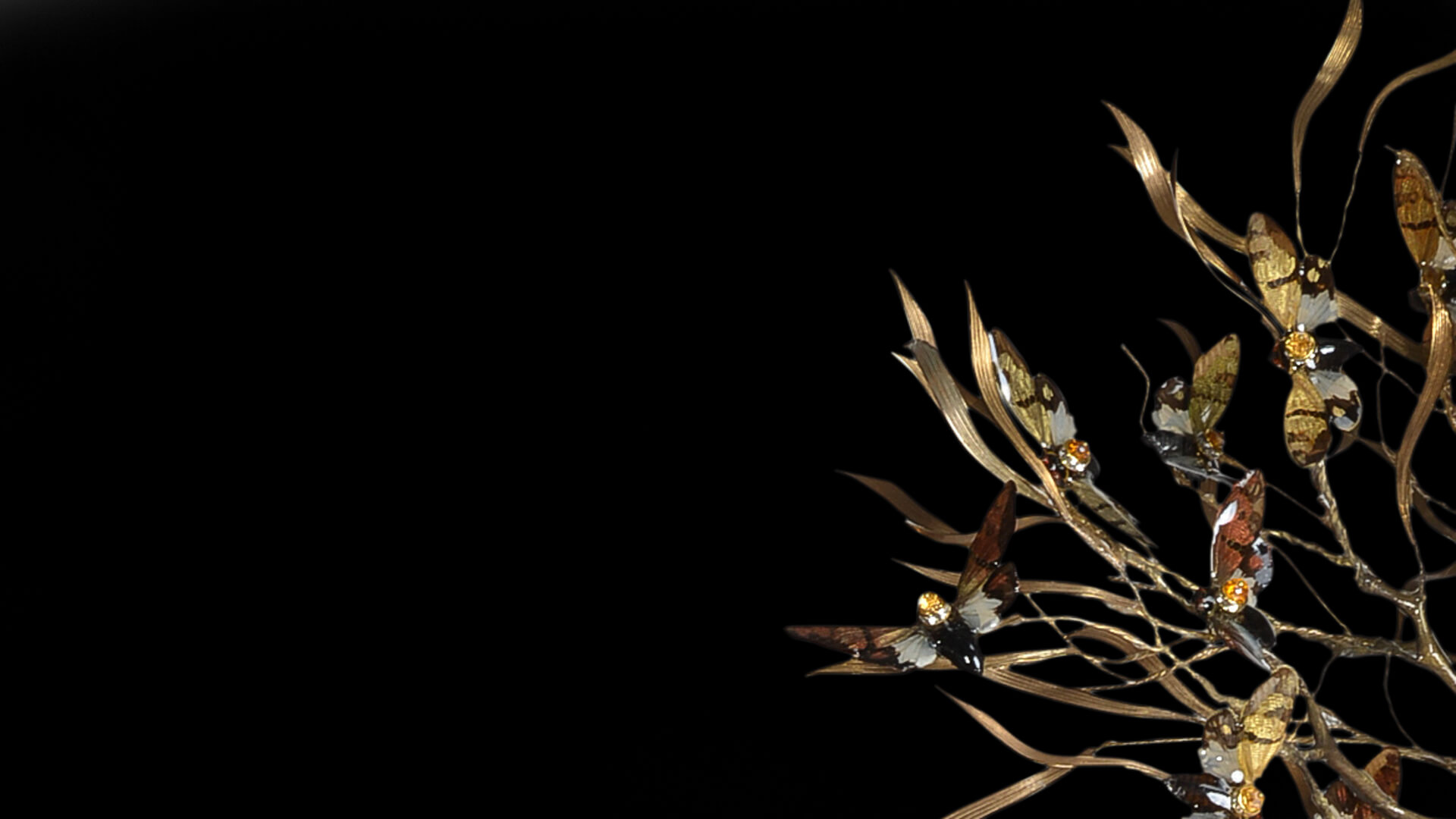 Renewal, Alexa Cach, Miodrag Guberinic & Corey Gomes, United States