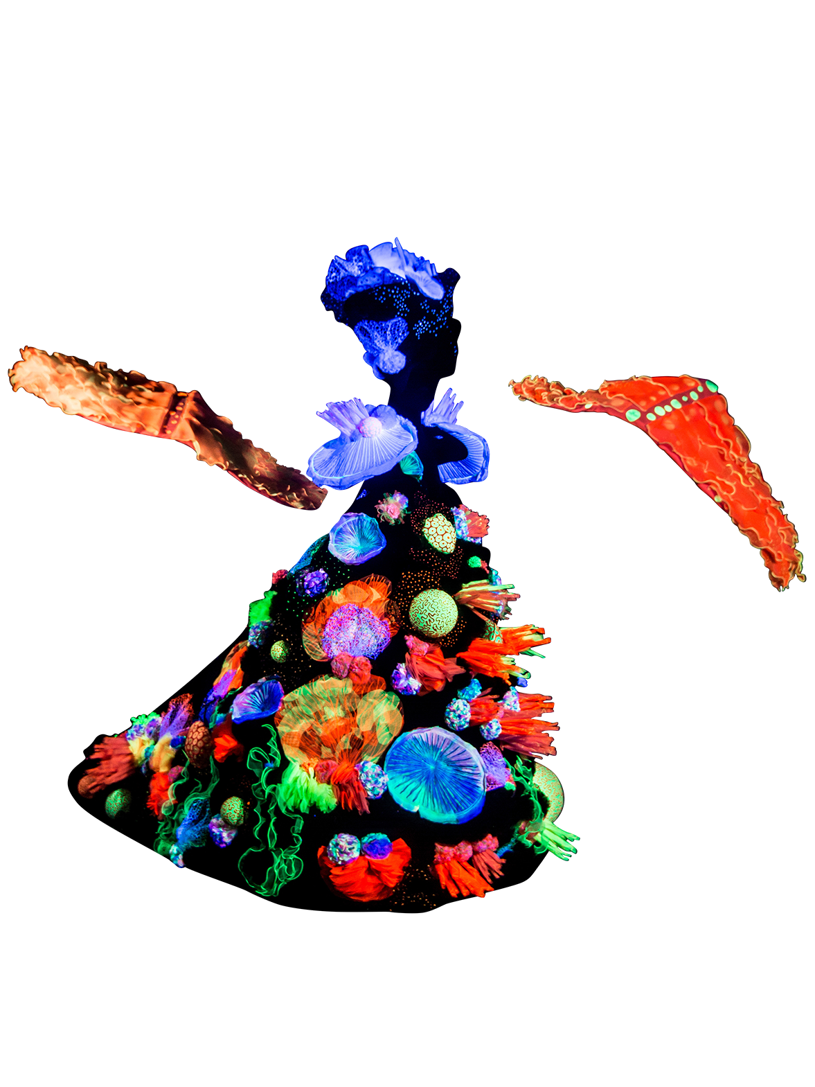 Tears of the Nudibranch, Sarah Seahorse & Luna Aquatica, Australia