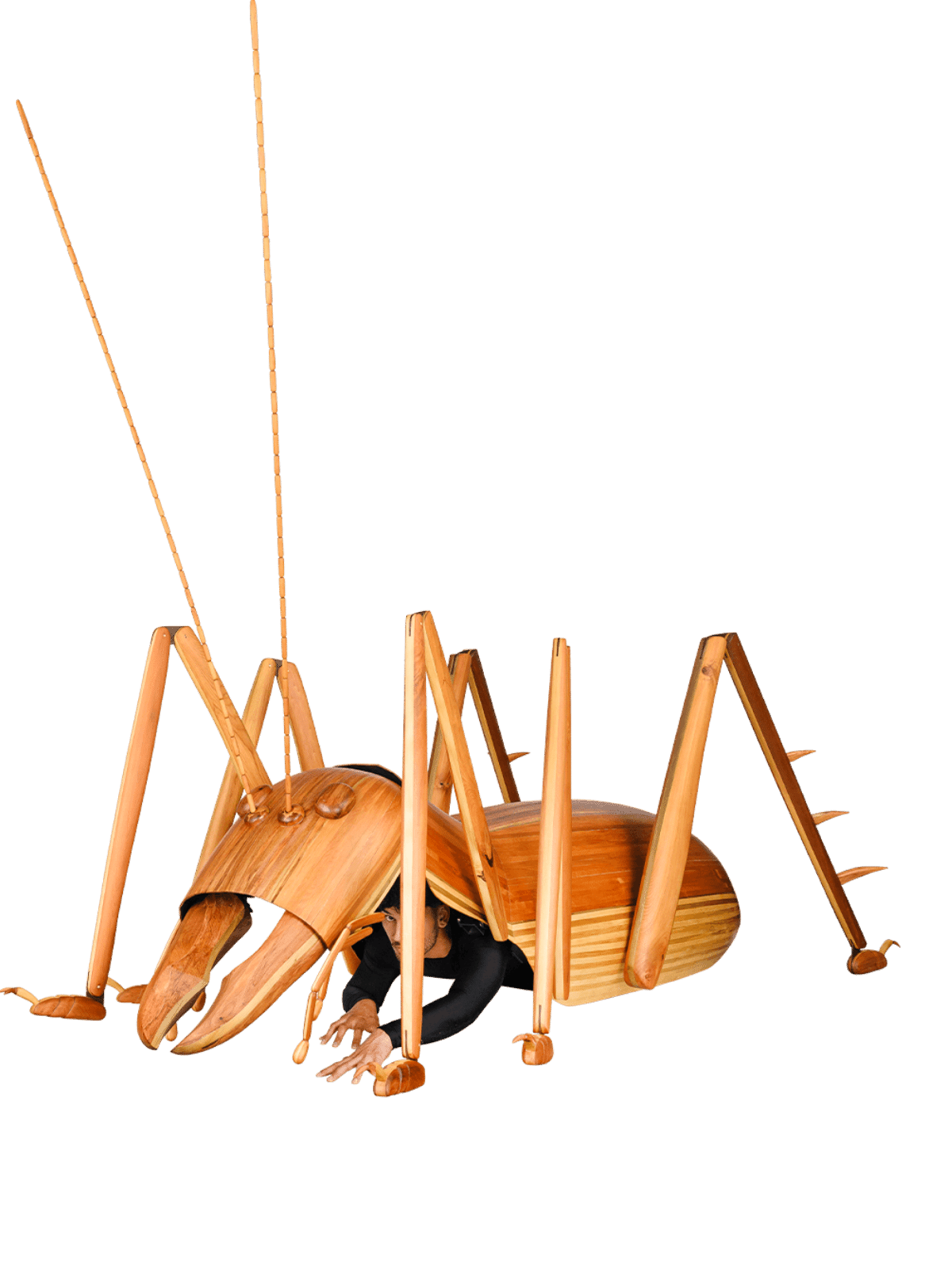 Child·Hood, Craig McMillan, New Zealand