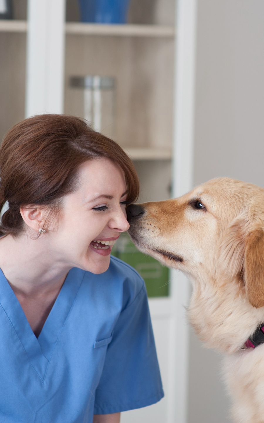 Our Approach A New Veterinary Experience