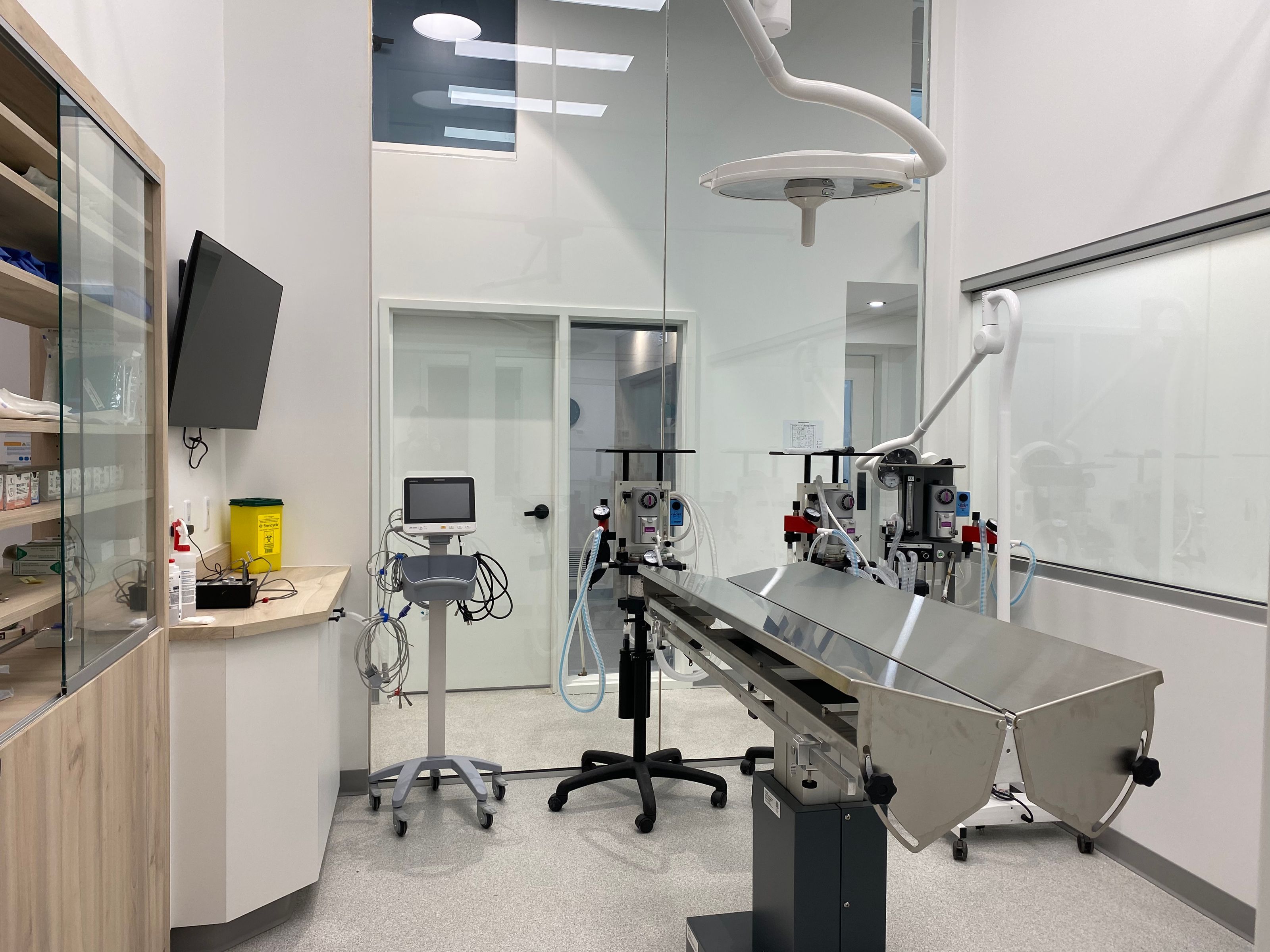 Vet Clinic in Waterdown, ON - An Open Concept Animal Hospital