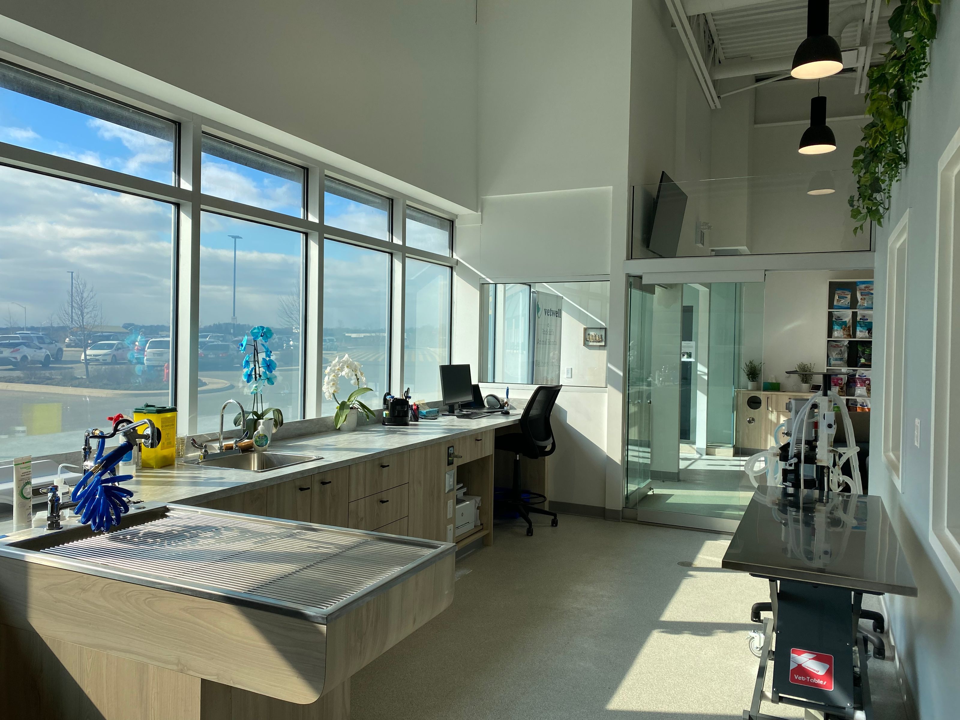 Vet Clinic in Waterdown, ON - An Open Concept Animal Hospital