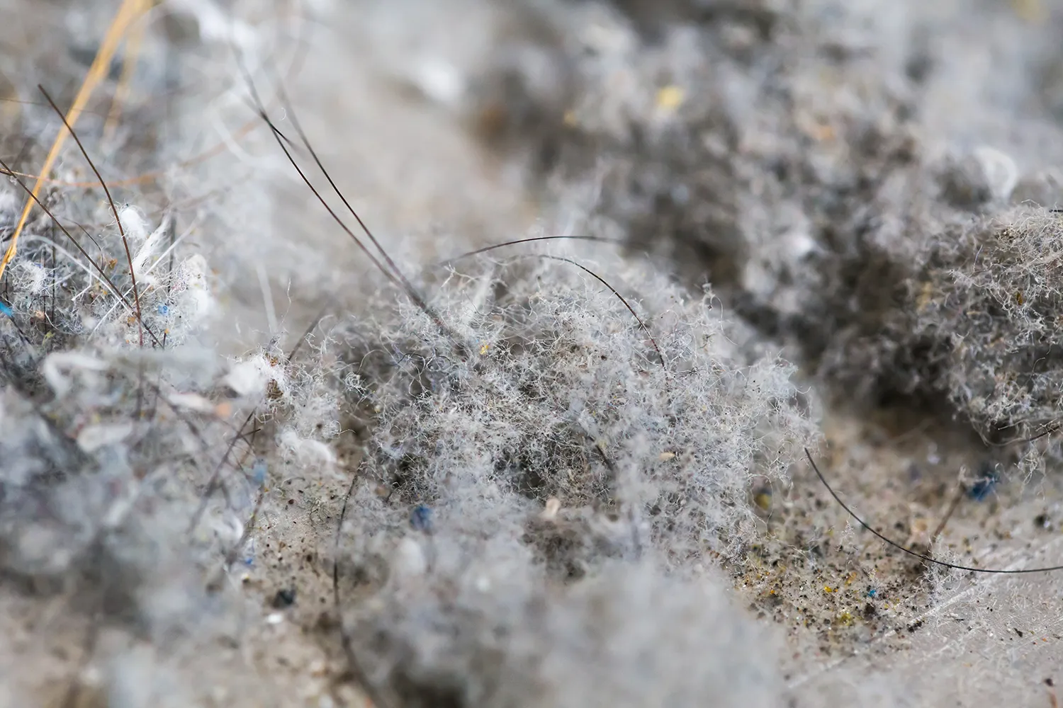 Perennial (allergic) Rhinitis The Burghwood Clinic