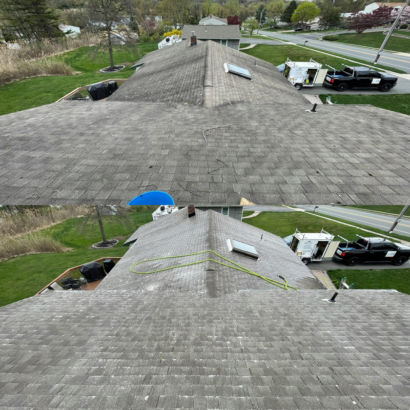 Best Roof Cleaning Services Near Me Expert Tips and Techniques for a Fresh Roof
