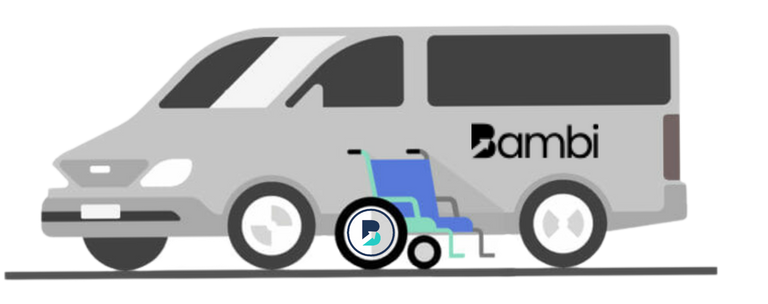 Nemt Dispatch Challenges Solved Improve Efficiency With Bambi