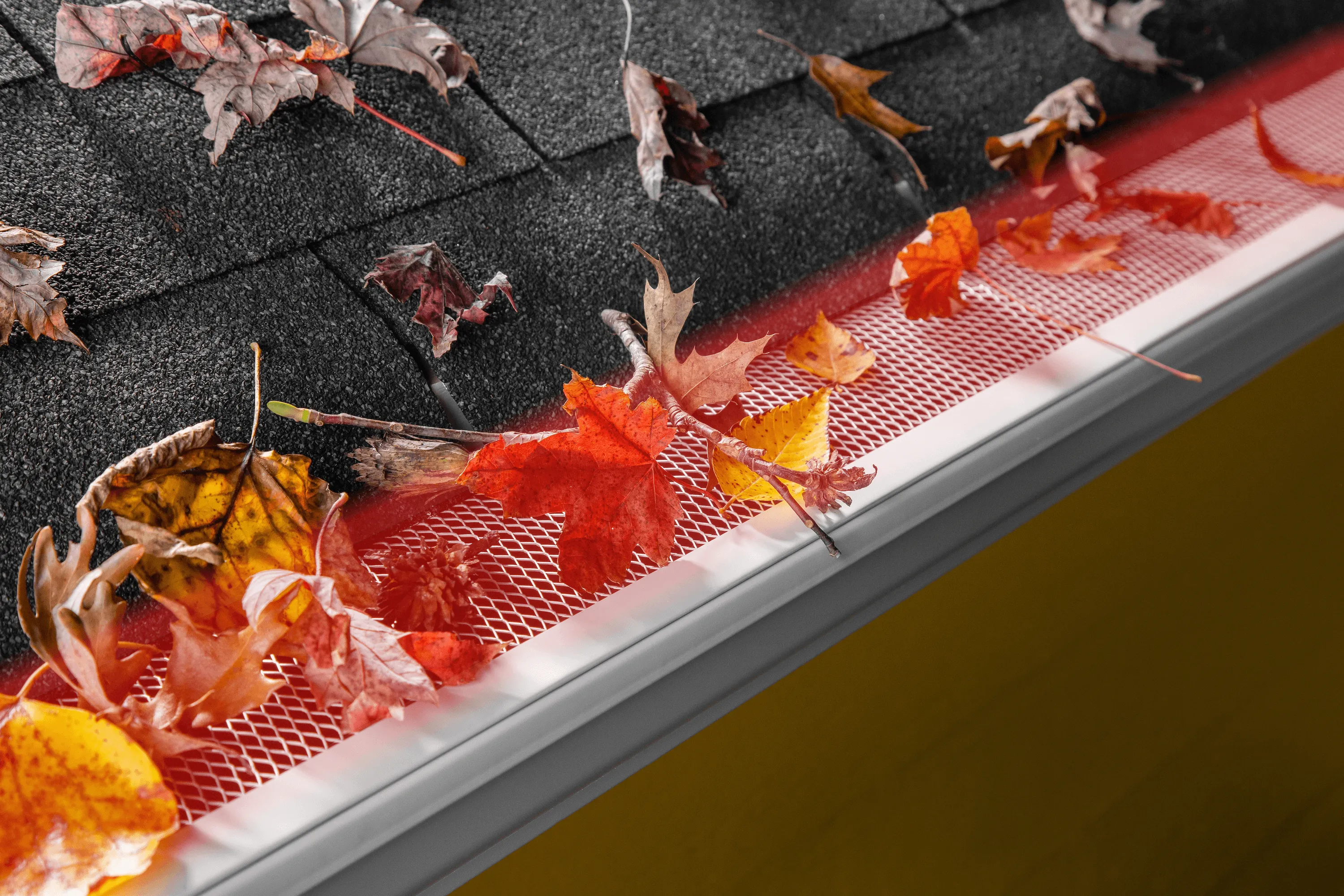 Gutter Guards Spectra Pro Select