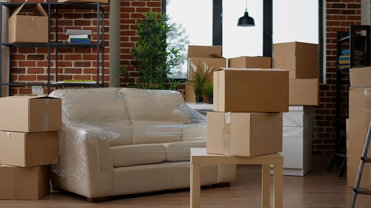 Boxes Canberra Doctor Move