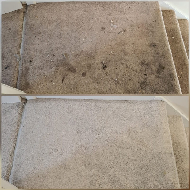 How much does carpet cleaning cost 