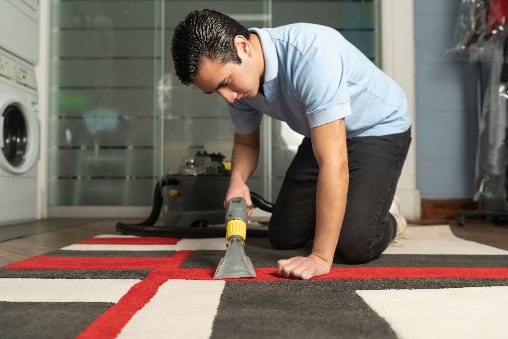 Professional vs DIY Carpet Cleaning
