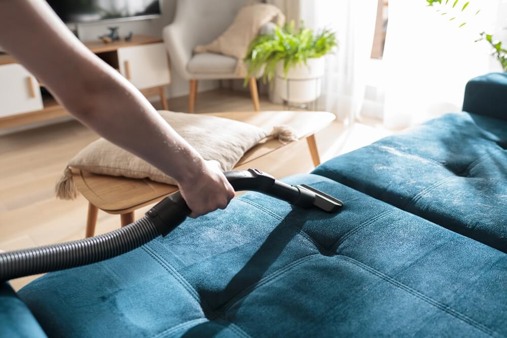 Cleaning Upholstered Furniture MustKnows