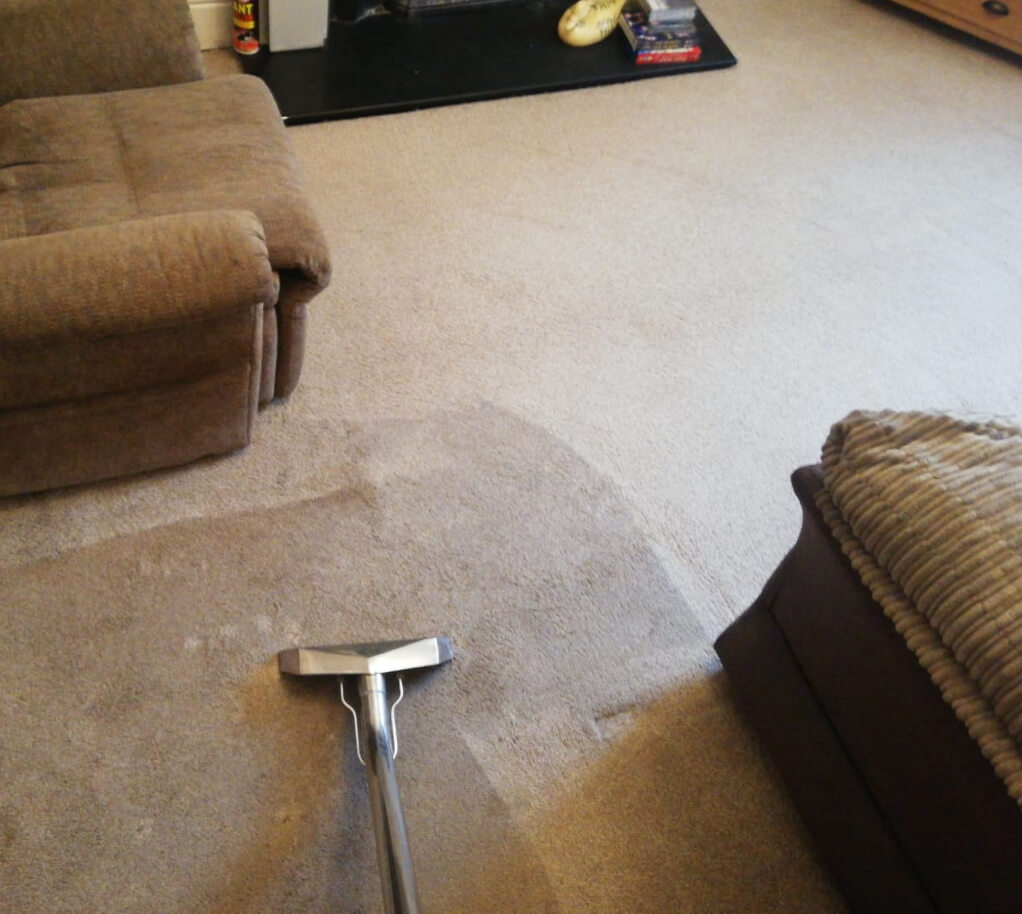 Eliminate Dust Mites with Carpet Cleaning