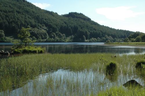 Glen trool in the summer