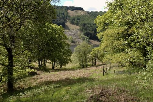 Footpath leading through the rolling hills