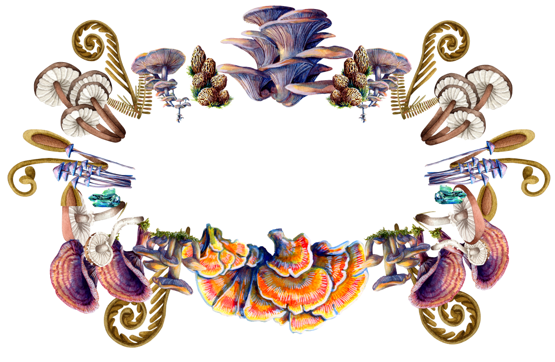 Kentucky Mushroom Festival