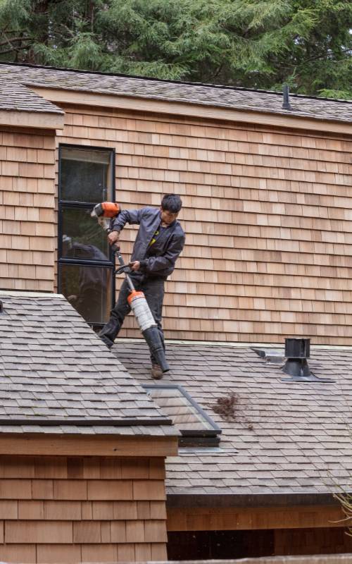 Roof Moss Removal Dublin Expert Roof Cleaning Services