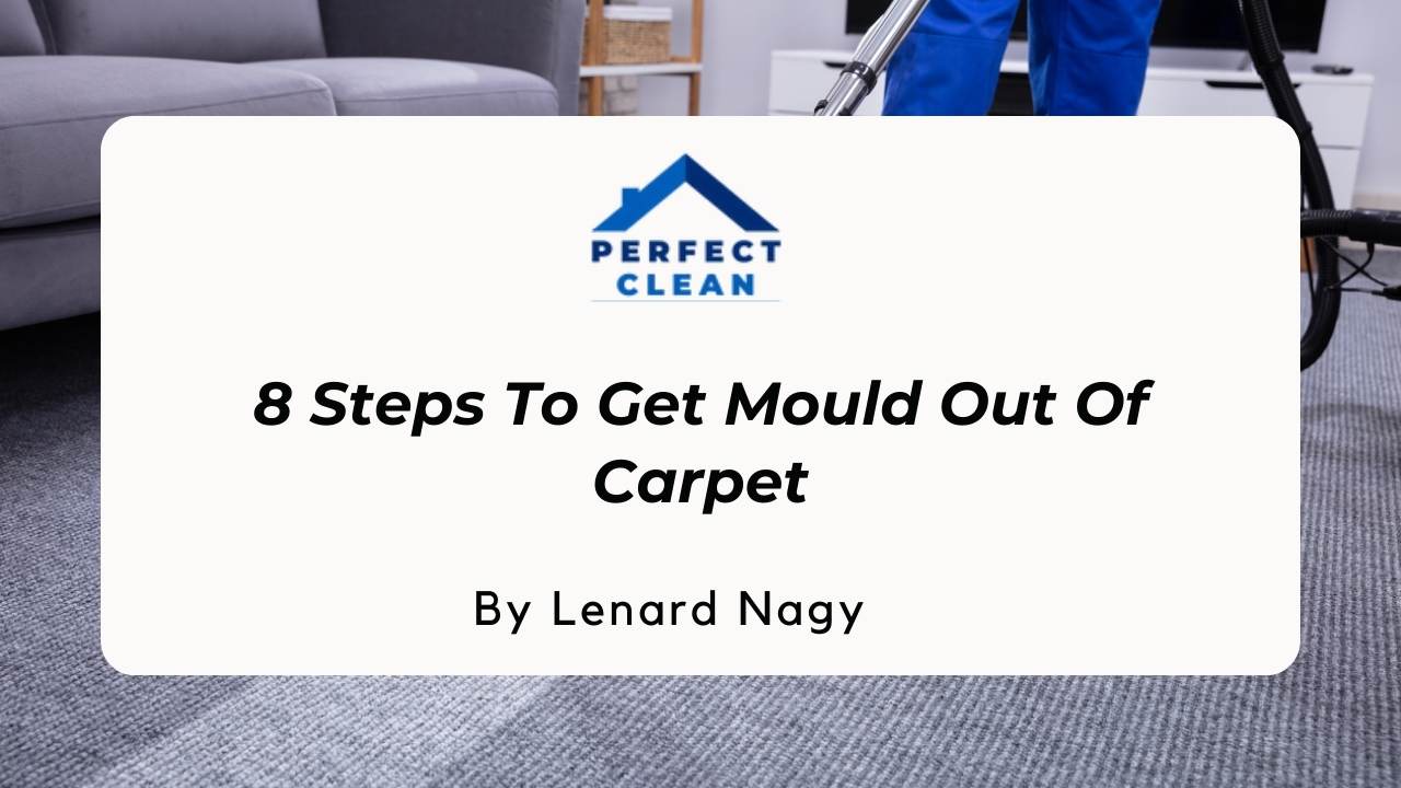8 Steps to Get Mould Out of Carpet Your DIY Solution Awaits!