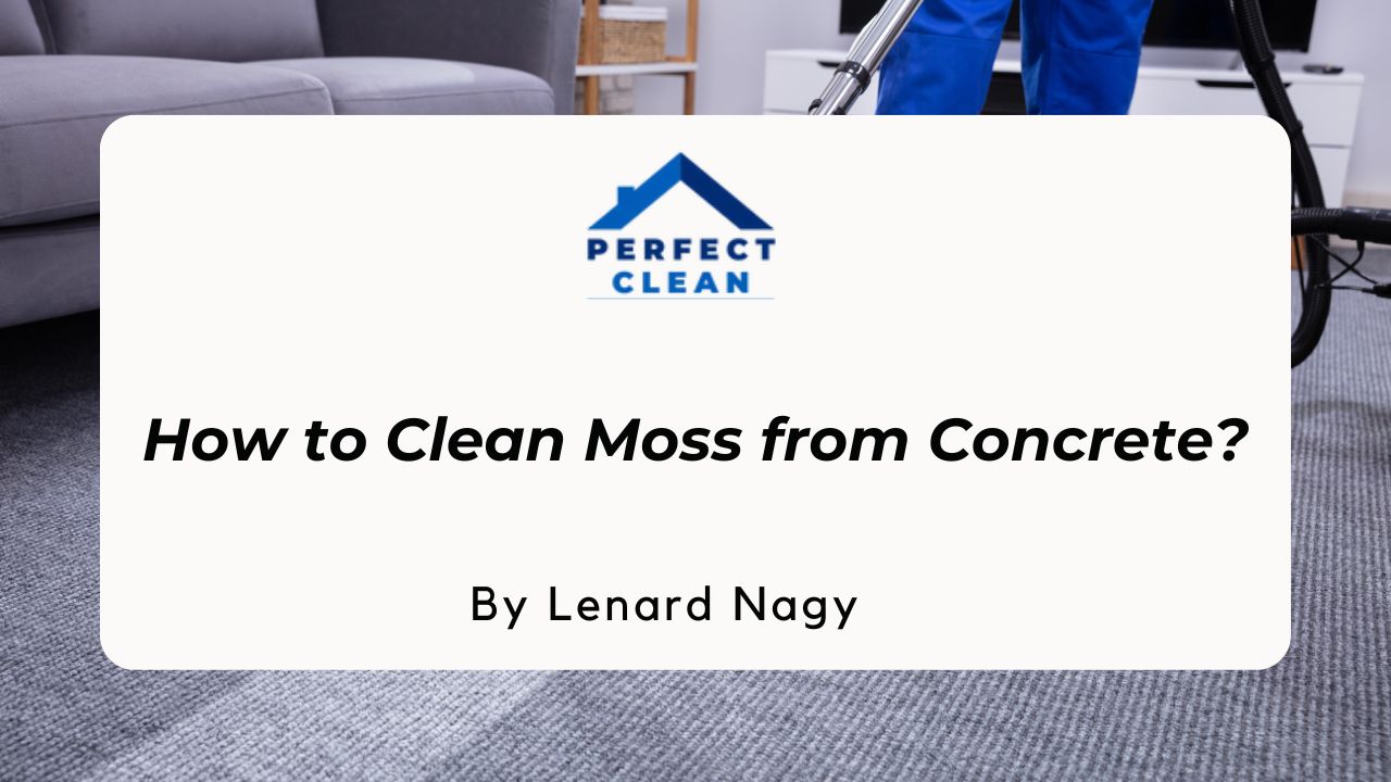 How Can You Easily Remove Moss from Concrete in 06 Methods?