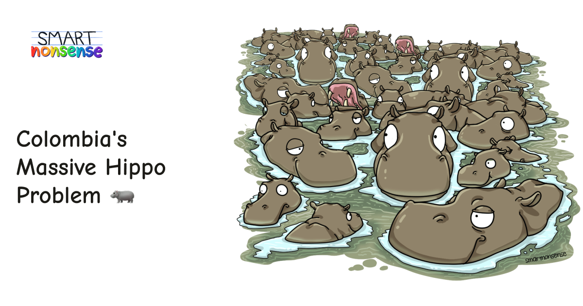 Colombia's Massive Hippo Problem 🦛