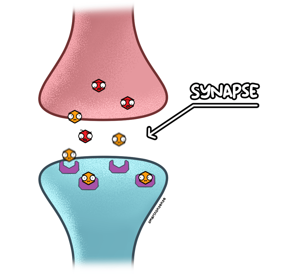 how-does-weed-make-you-high
