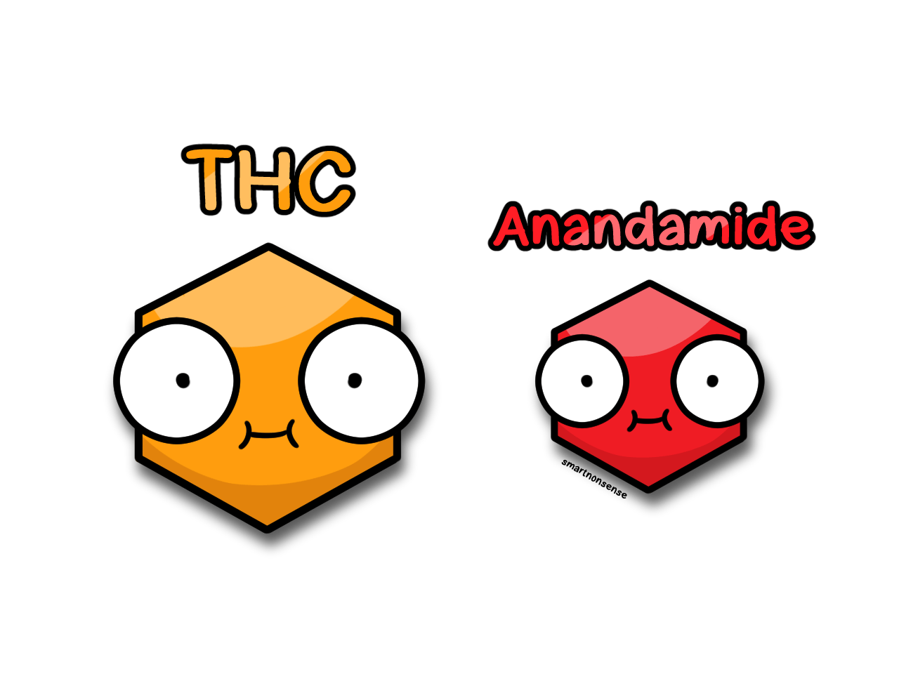 how-does-weed-make-you-high