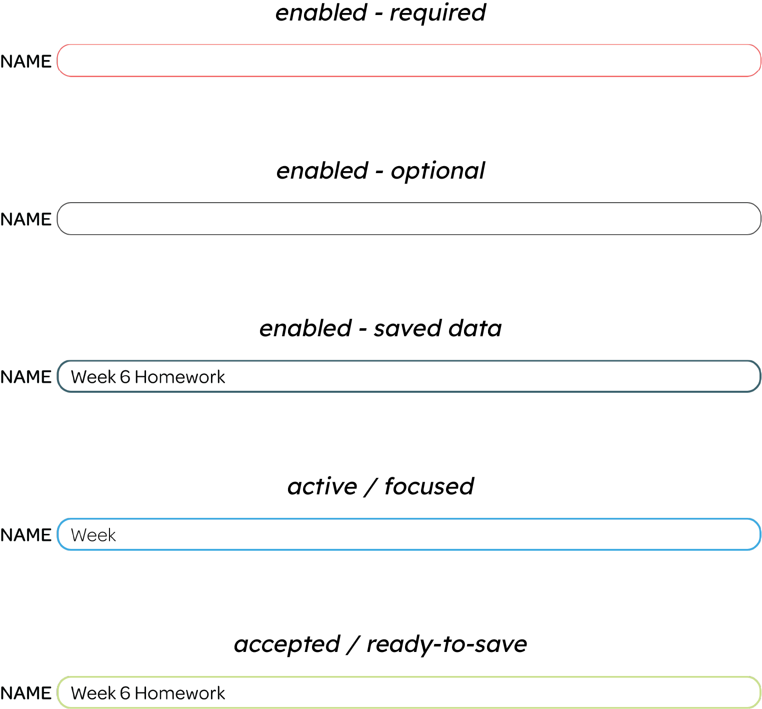 Different states of input fields