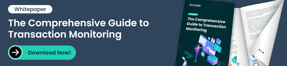 The Comprehensive Guide to Transaction Monitoring