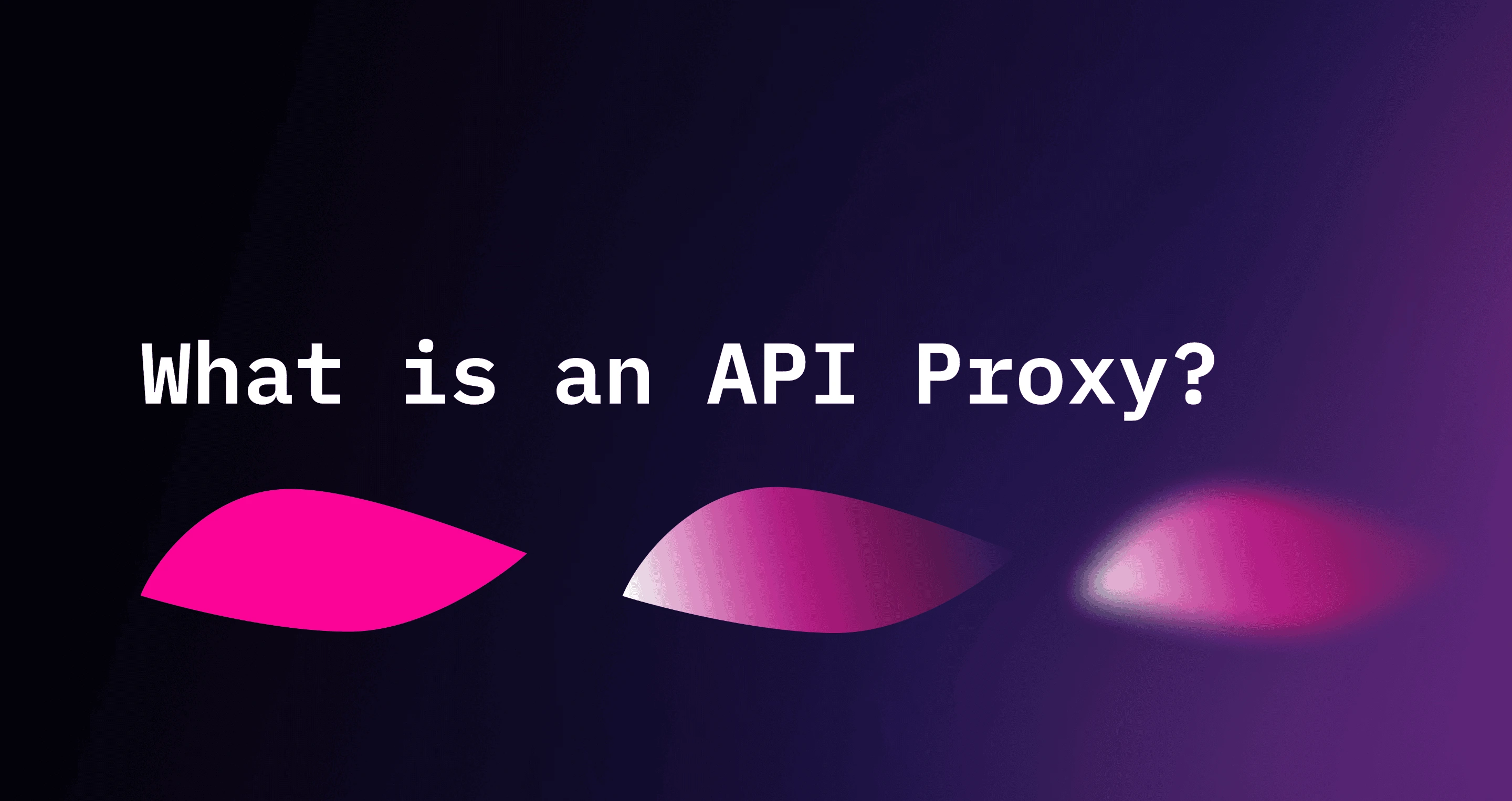 What is an API Proxy?