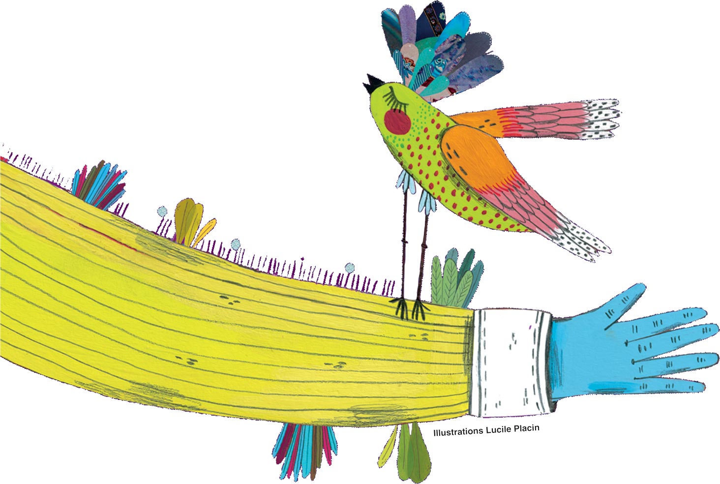 Illustration de Lucile Placin figurant un bras portant un oiseau multicolore avec un huppe texturée