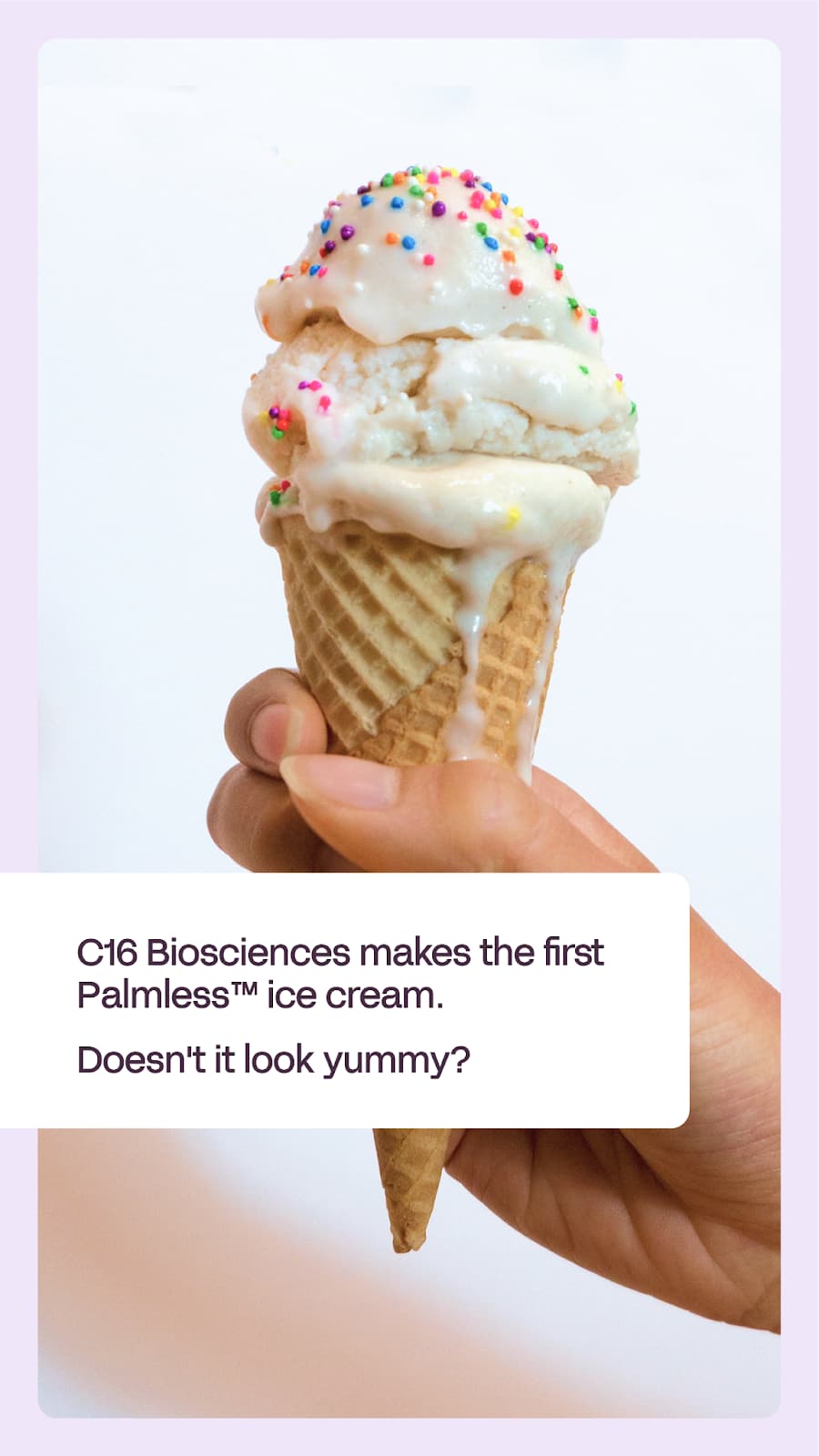 C16 Biosciences, makers of Palmless™, ramps up in food fueled by fresh ...