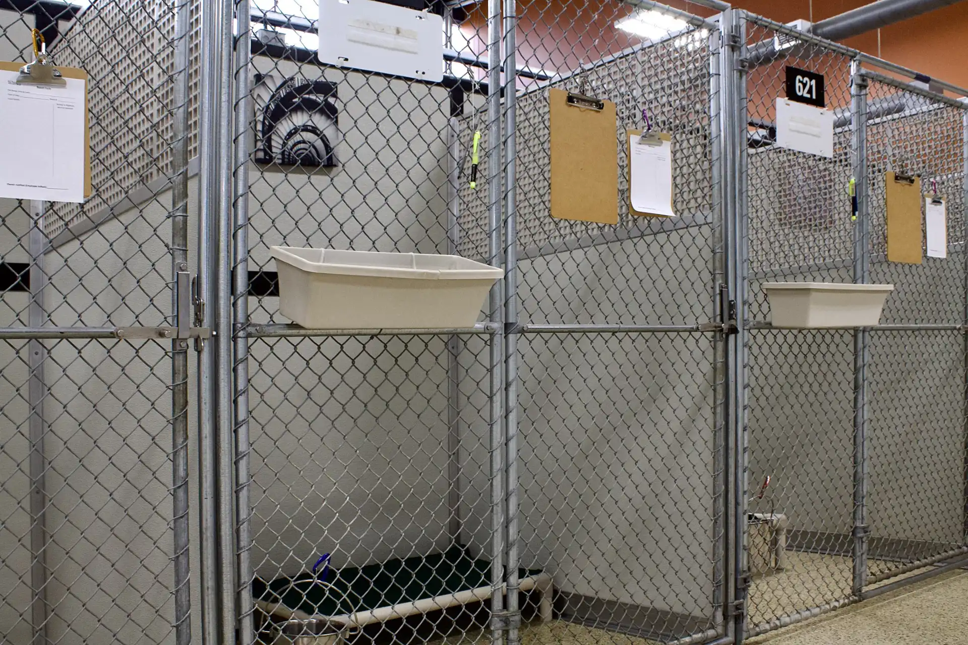 Whiskers Resort & Pet Spa Canine Boarding Grand Rapids, MI