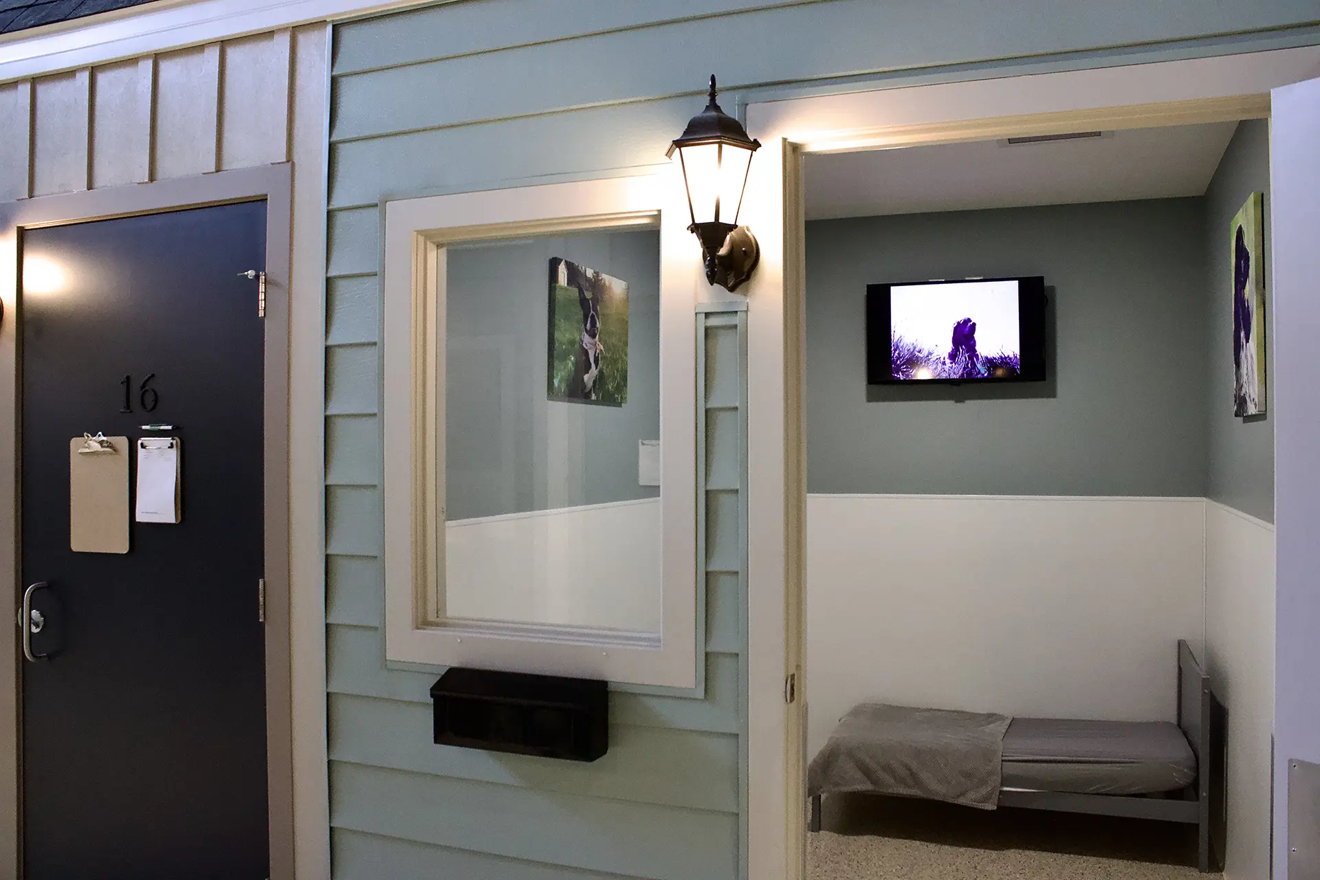 Whiskers Resort & Pet Spa Canine Boarding Grand Rapids, MI