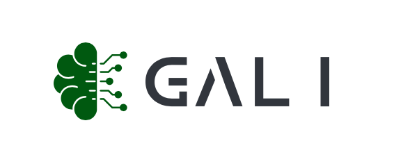Gali - Custom AI chatbot