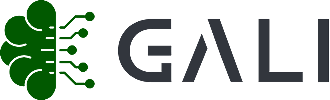 Gali - Custom AI chatbot