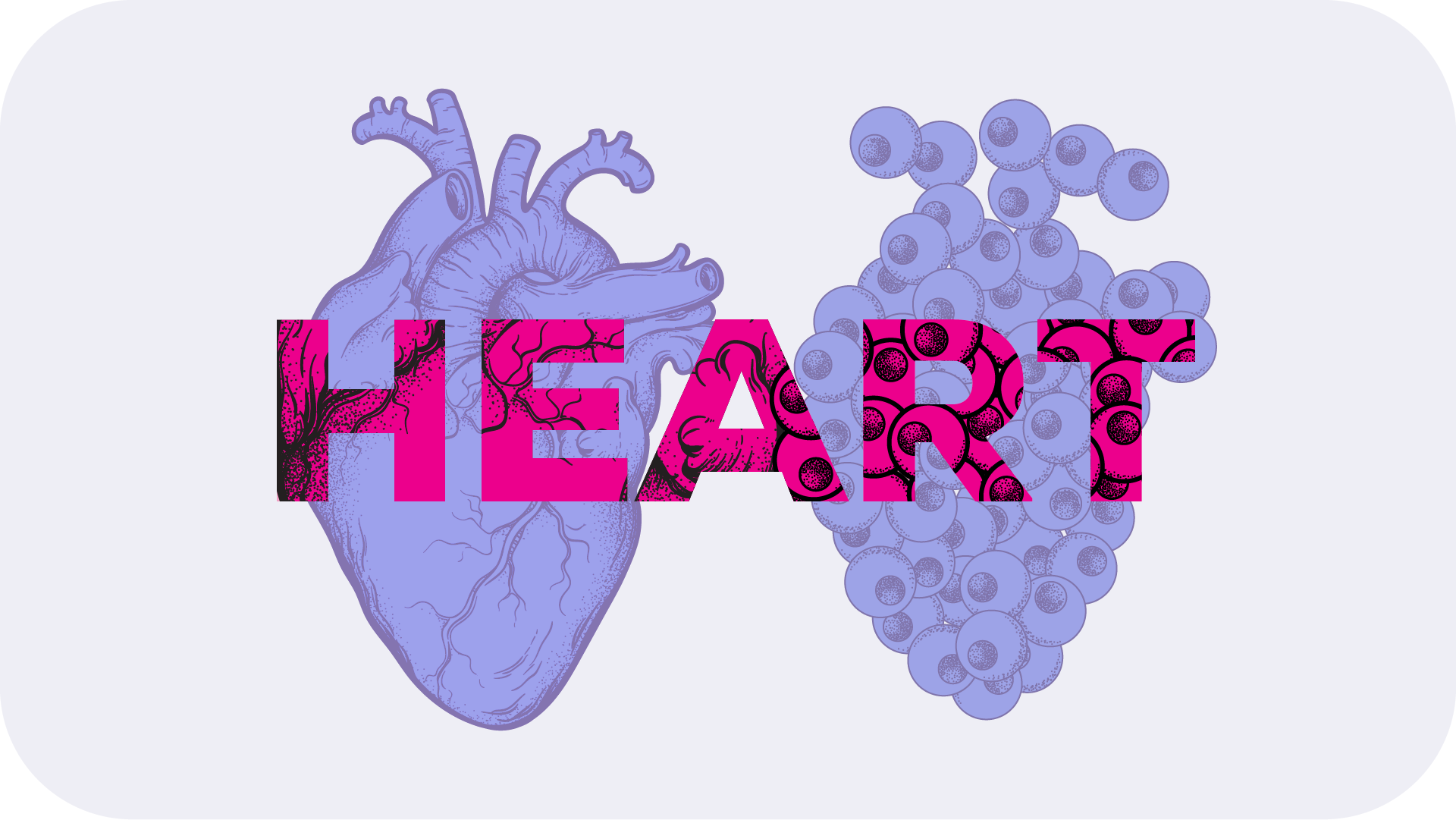 Section header displaying a heart in vintage scientific illustration style juxtaposed to a heart made up of stem cells