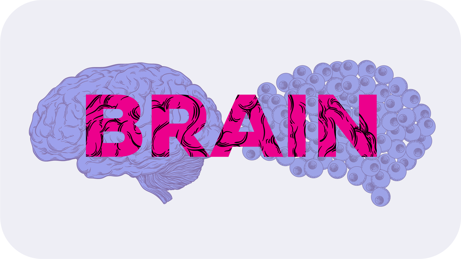 Section header displaying a brain in vintage scientific illustration style juxtaposed to a brain made up of stem cells