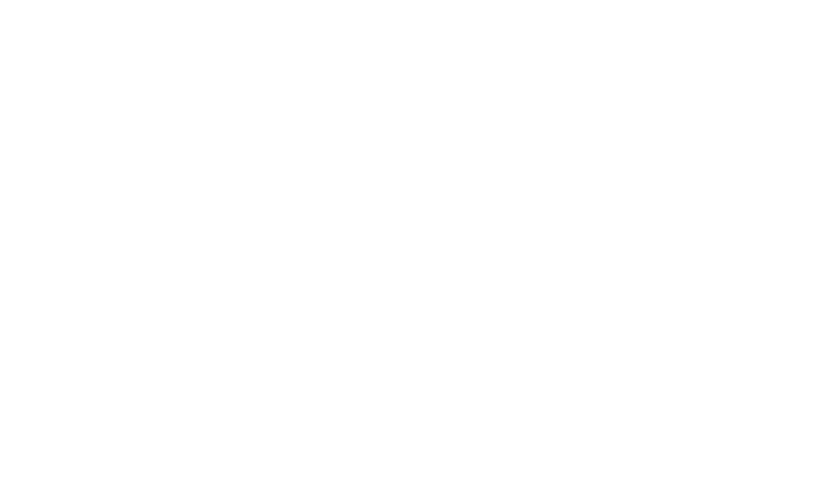 Section 8