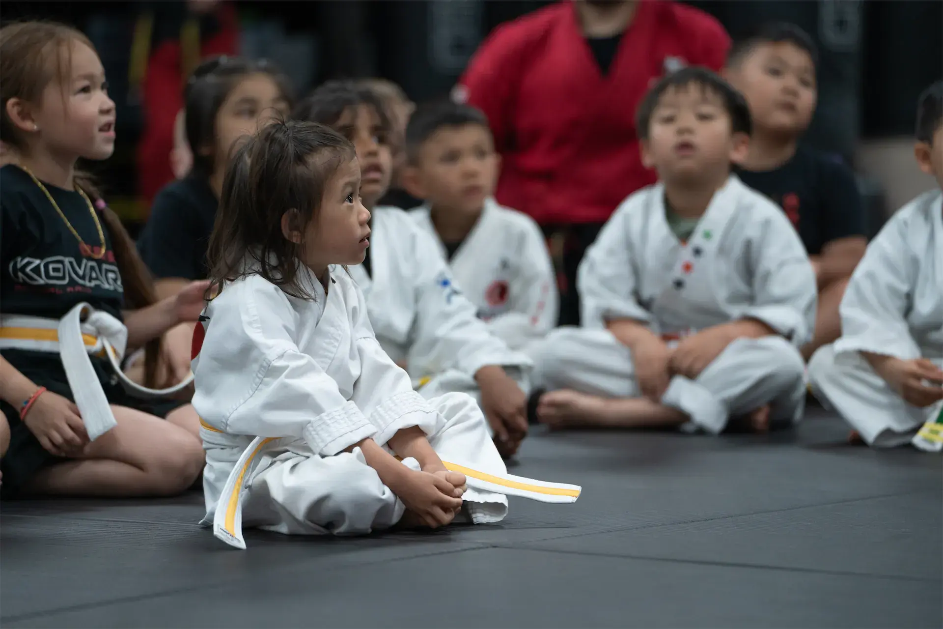 Pricing Kovar's Martial Arts