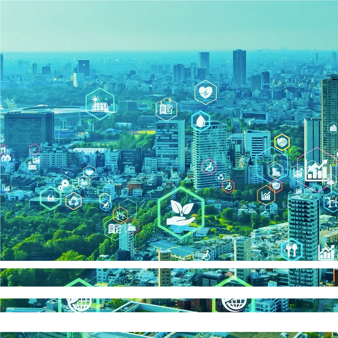 CELYS™ Biodegradable Polyester — About Us