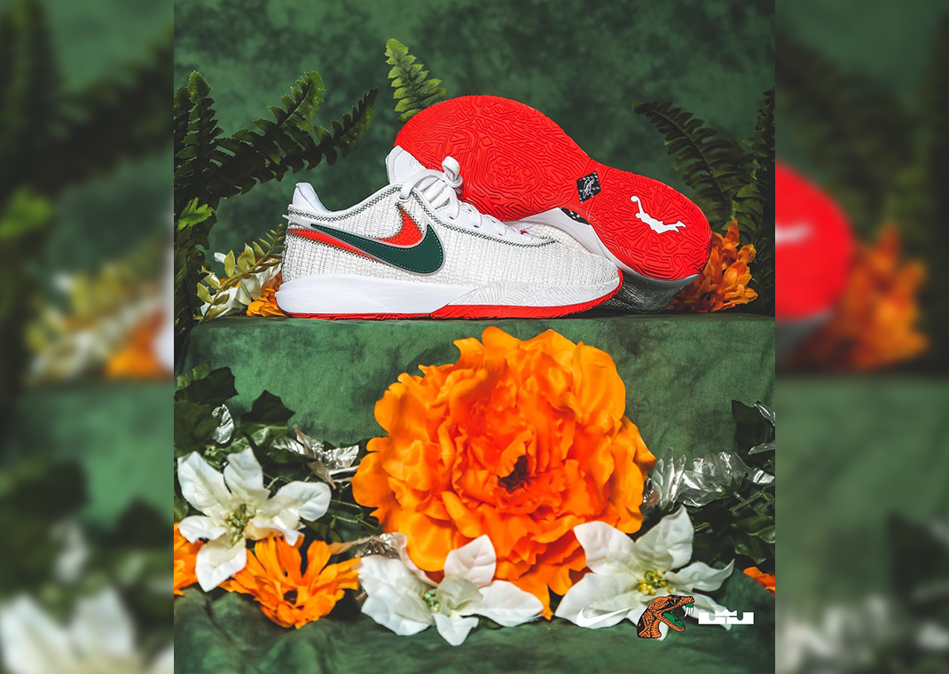 famu nike lebron 18 pe