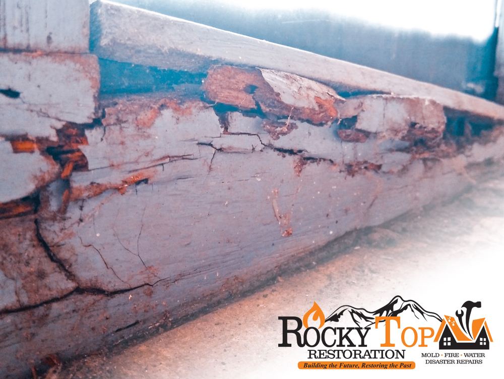 Image showcasing Protect your business against cybercrime | Business.gov.nl